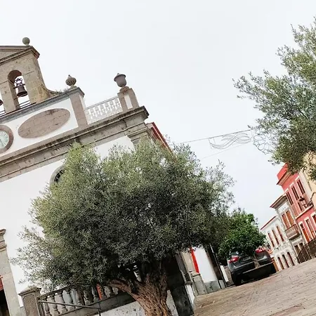 Casa Rural Encarna Vega de San Mateo Exterior photo