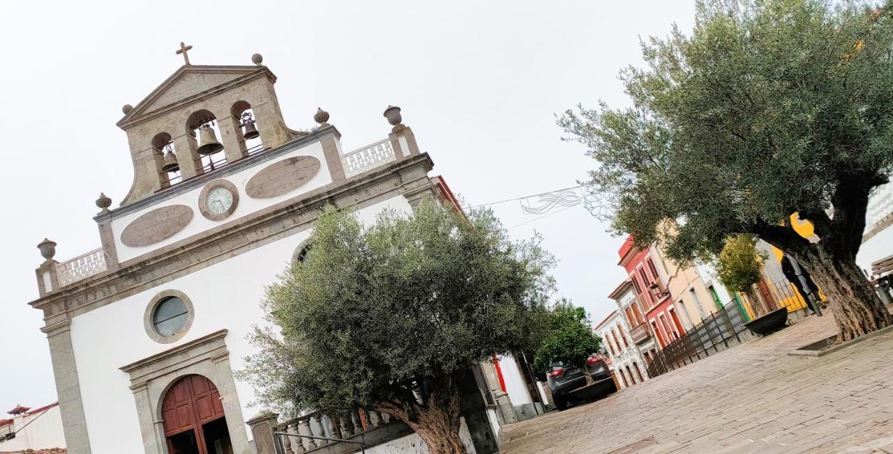 Encarna * Vega de San Mateo